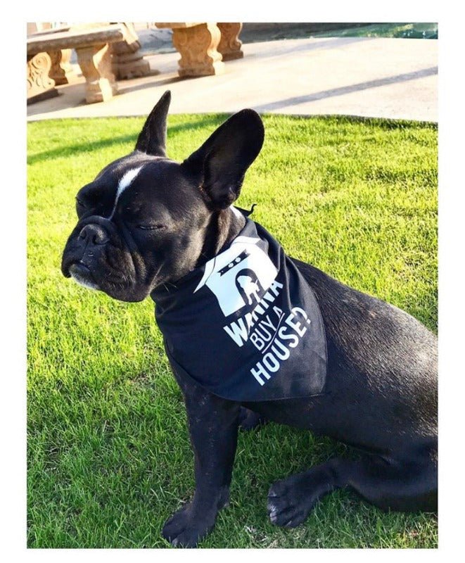 Dog Bandana - Wanna Buy a House?™ - All Things Real Estate