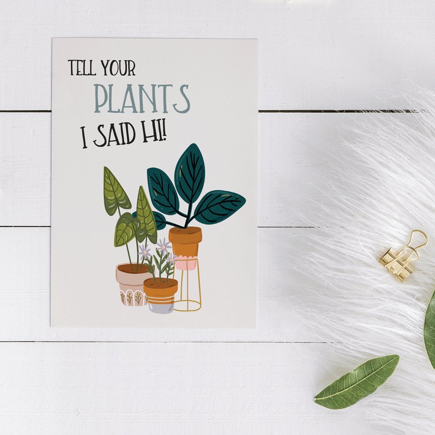 Celebration Cards - All Occasion Set - All Things Real Estate