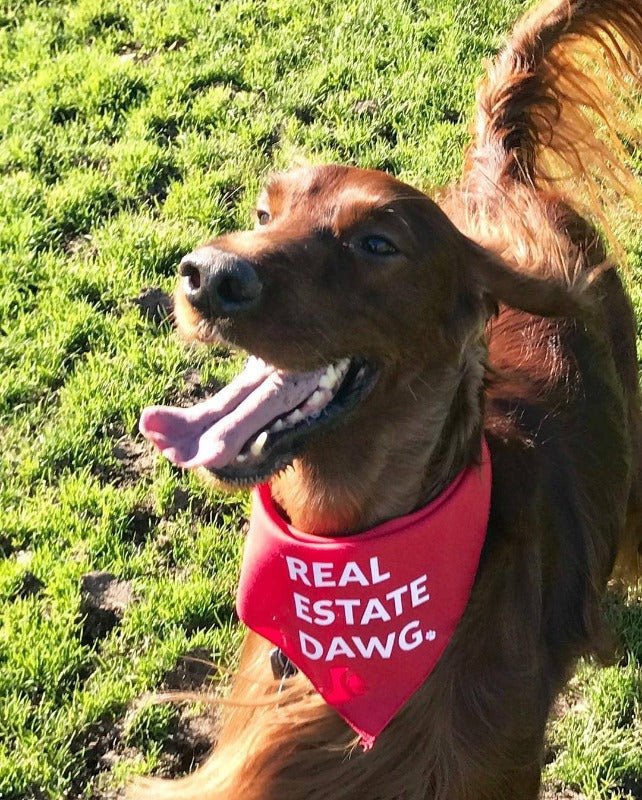 Dog Bandana - Real Estate Dawg. (Red) - All Things Real Estate