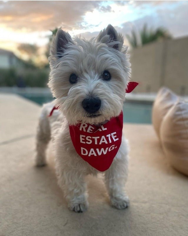 Dog Bandana - Real Estate Dawg. (Red) - All Things Real Estate