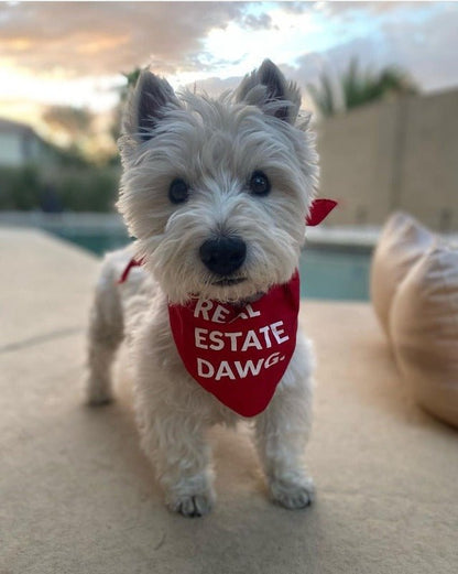 Dog Bandana - Real Estate Dawg. (Red) - All Things Real Estate