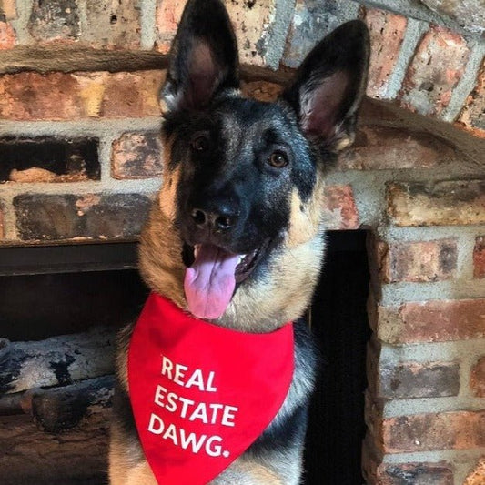Dog Bandana - Real Estate Dawg. (Red) - All Things Real Estate