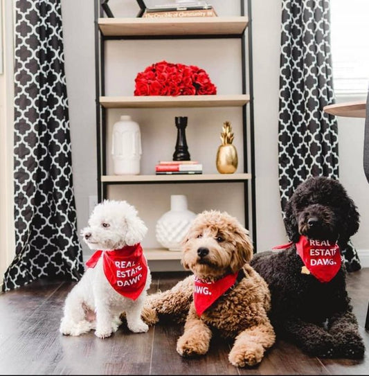 Dog Bandana - Real Estate Dawg. (Red) - All Things Real Estate