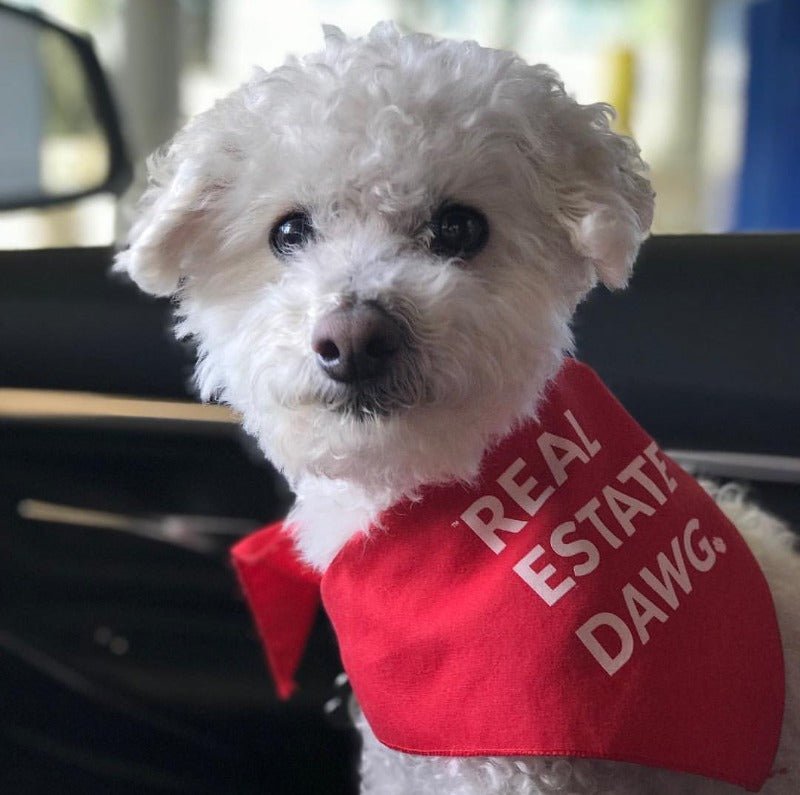 Dog Bandana - Real Estate Dawg. (Red) - All Things Real Estate