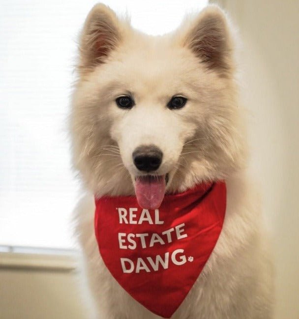 Dog Bandana - Real Estate Dawg. (Red) - All Things Real Estate