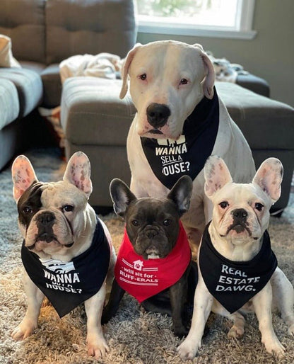 Dog Bandana - Wanna Buy a House?™ - All Things Real Estate