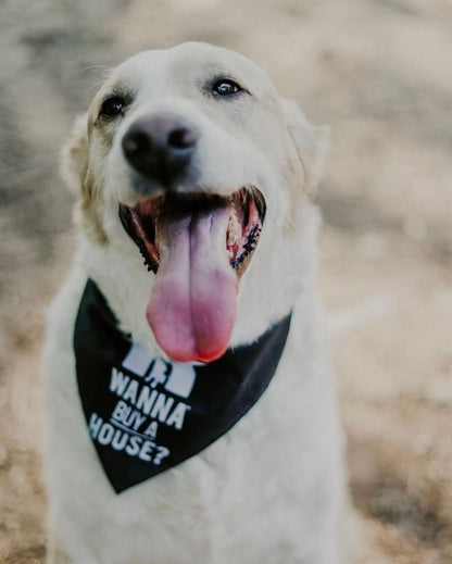 Dog Bandana - Wanna Buy a House?™ - All Things Real Estate