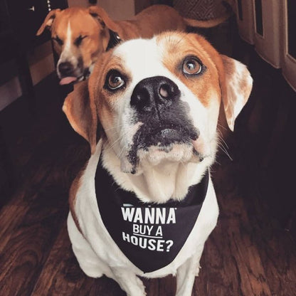 Dog Bandana - Wanna Buy a House?™ - All Things Real Estate