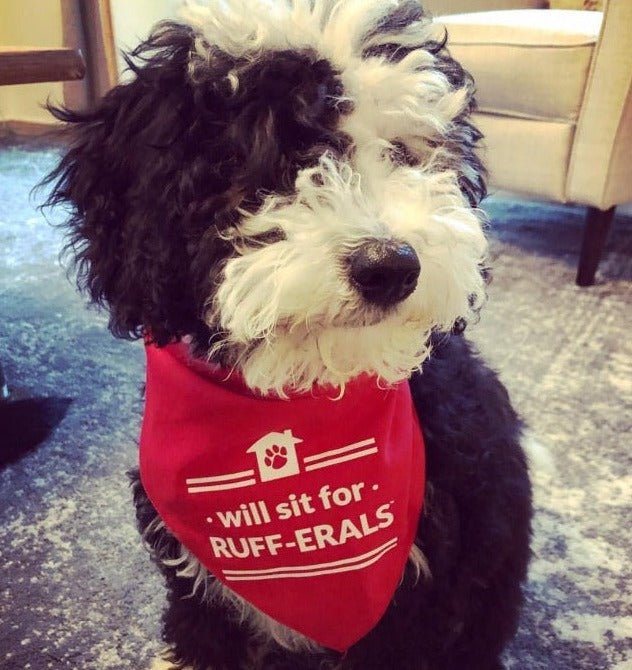 Dog Bandana - Will sit for RUFF-ERALS - All Things Real Estate