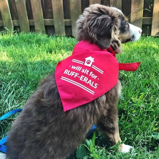 Dog Bandana - Will sit for RUFF-ERALS - All Things Real Estate