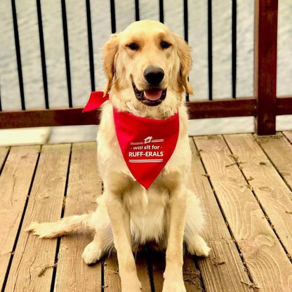 Dog Bandana - Will sit for RUFF-ERALS - All Things Real Estate