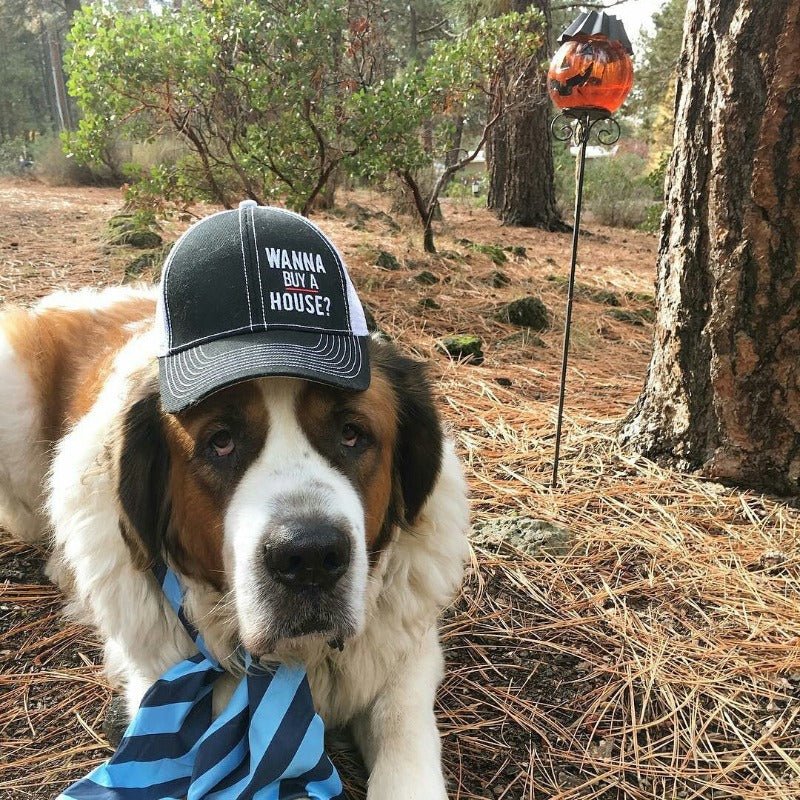 Trucker Hat - Wanna Buy a House?™ - All Things Real Estate